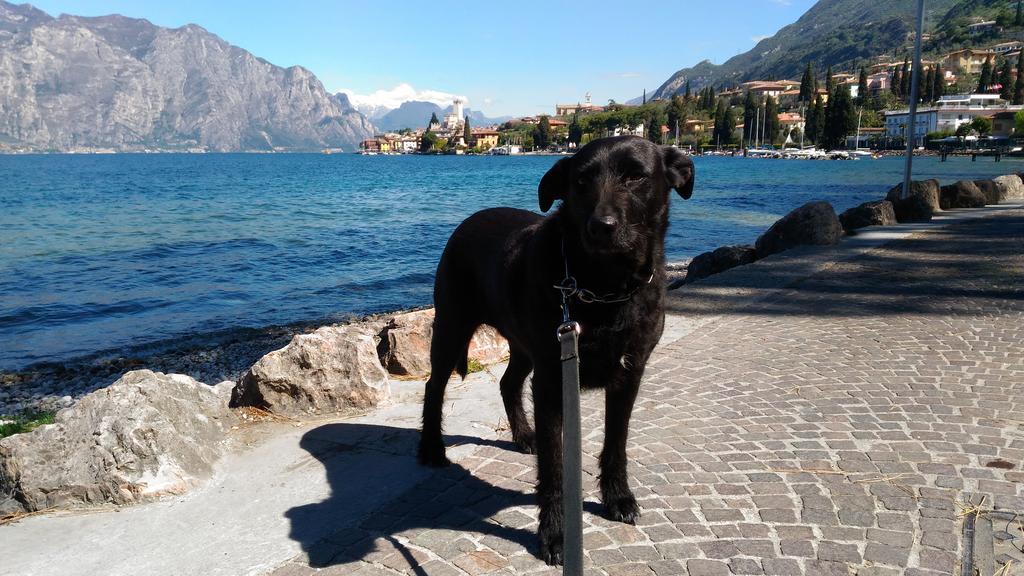 Casa Bianca Otel Malcesine Dış mekan fotoğraf