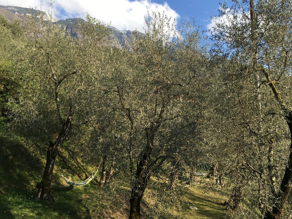 Casa Bianca Otel Malcesine Dış mekan fotoğraf